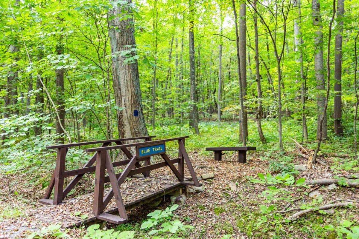 Huge Cabin W Hot Tub, Deck, Grill, Fire Pit, Wifi Berkeley Springs Esterno foto