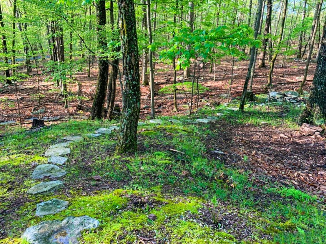 Huge Cabin W Hot Tub, Deck, Grill, Fire Pit, Wifi Berkeley Springs Esterno foto